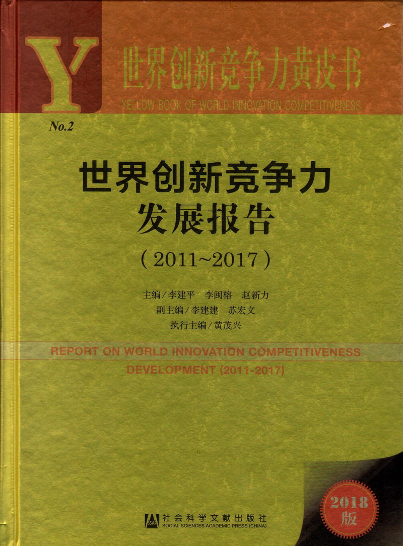 透少妇世界创新竞争力发展报告（2011-2017）